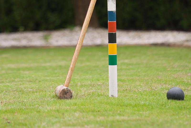 Lawn-Activities-Left
