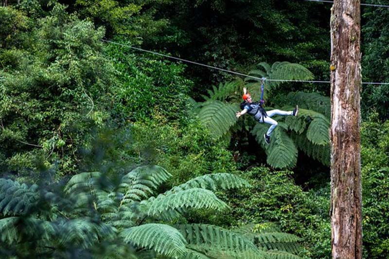 Epic-Rotorua-Left