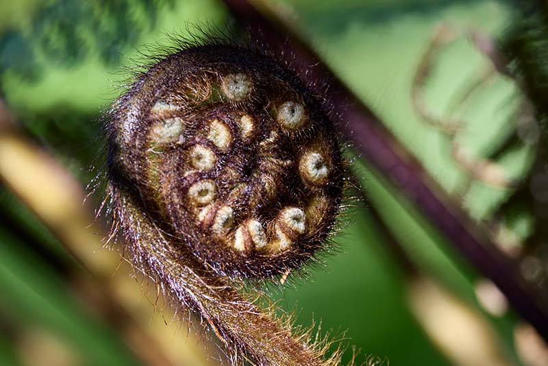 Silica-Rapids-Hike-Left